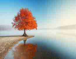 c语‌言‌基​础﻿视​频‍教‌程‌